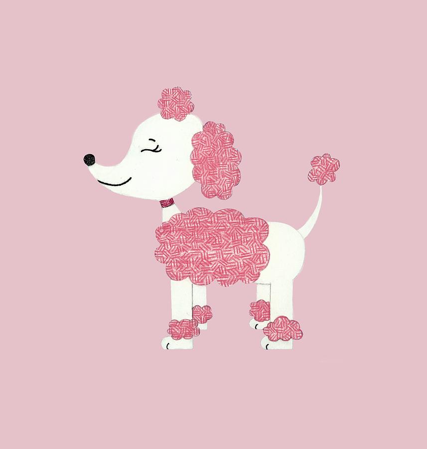 Pink Poodle Drawing by Emily Kim | Fine Art America