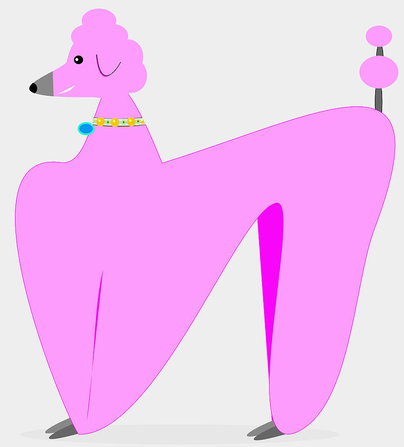 are poodles pink