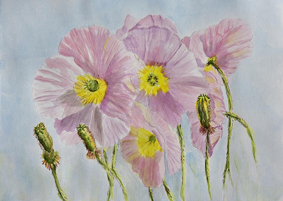 Pink Poppies 1 watercolor Painting by Linda Brody