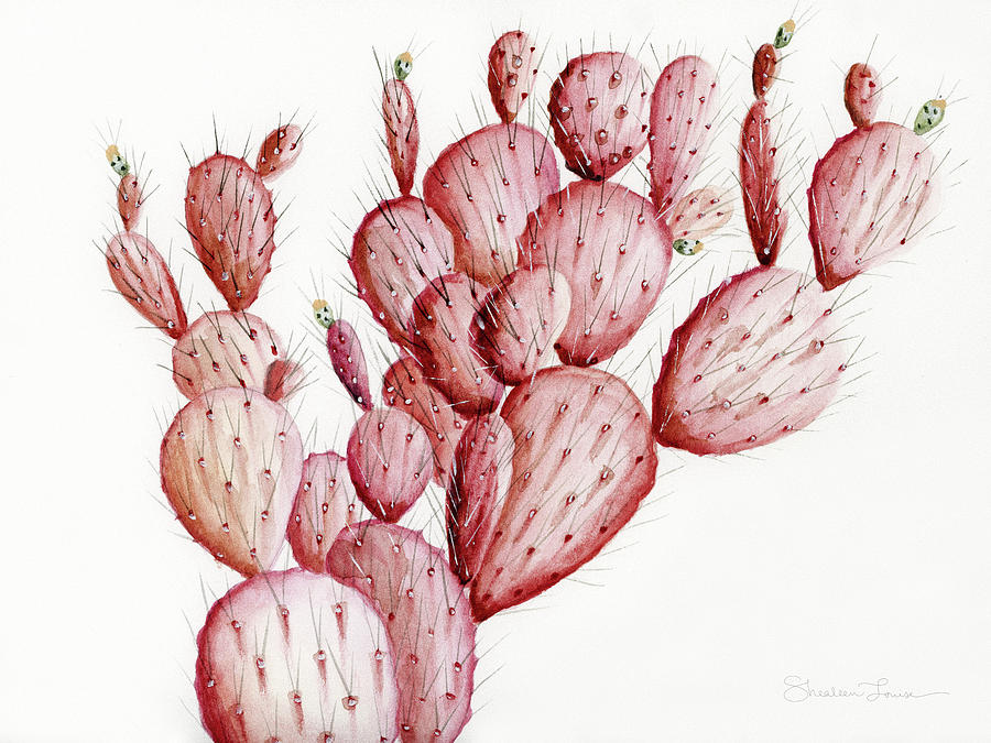 Flower Painting - Pink Prickly Pear Cactus by Shealeen Louise