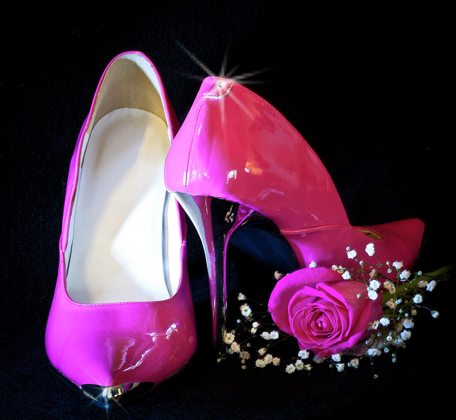 Pink Pumps with Pink Rose Photograph by Patti Deters