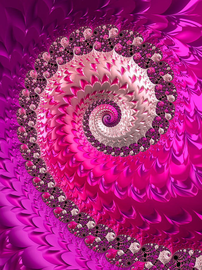 Pink purple and red luxe girly spiral Digital Art by Matthias Hauser