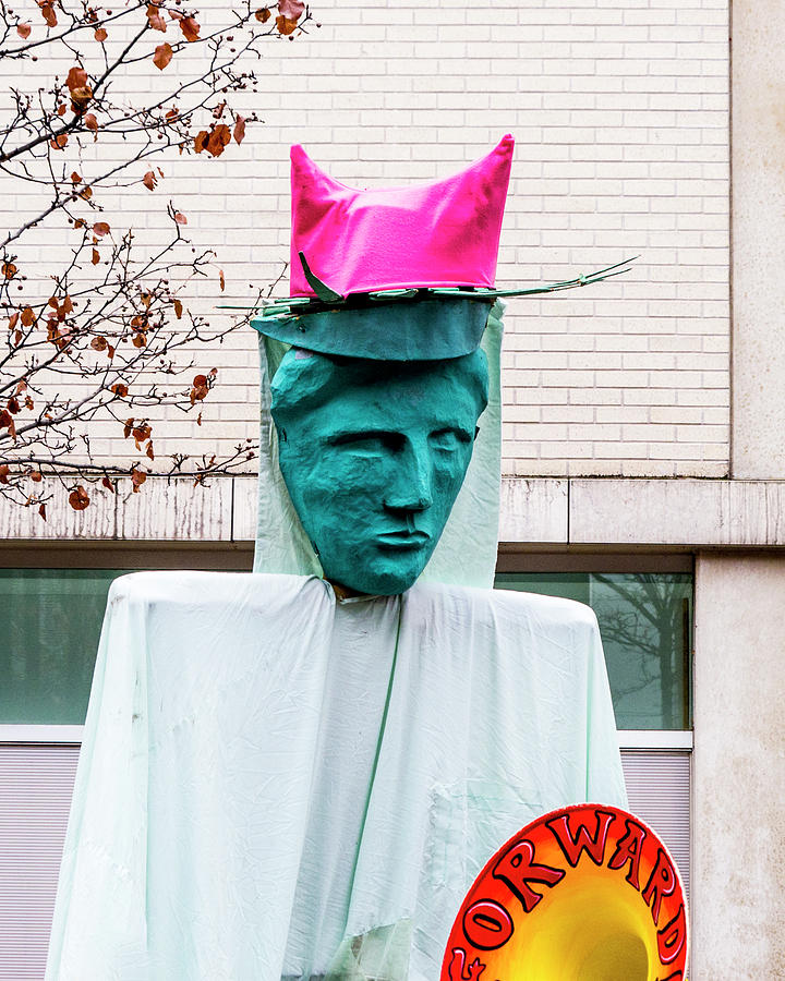 Pink Pussy Hat - Womens March, Madison, Wisconsin Photograph by Steven Ralser