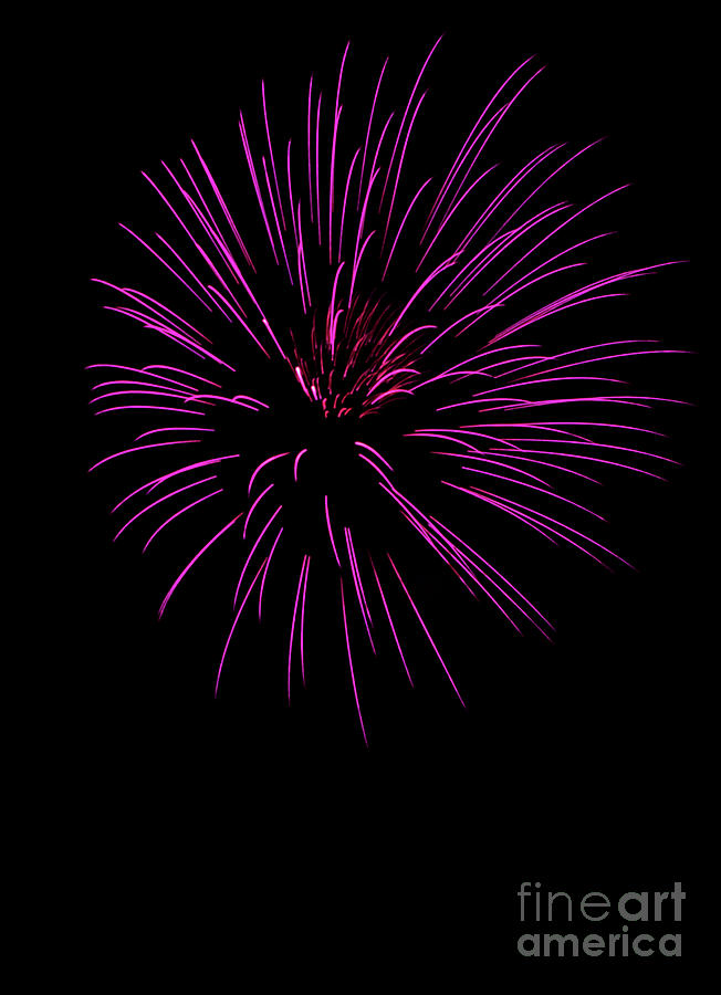 Pink Pyrotechnics Photograph by Suzanne Luft