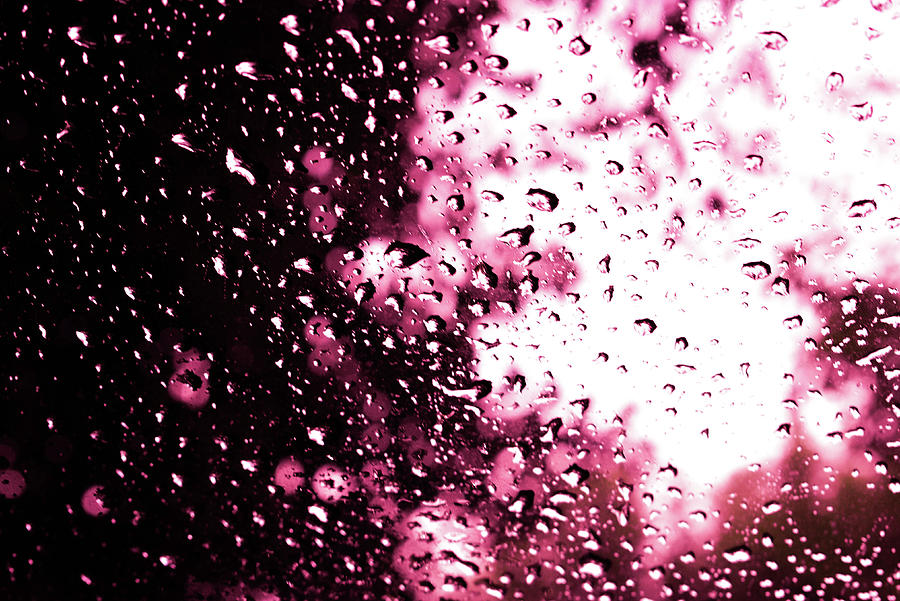 Pink Rain Photograph