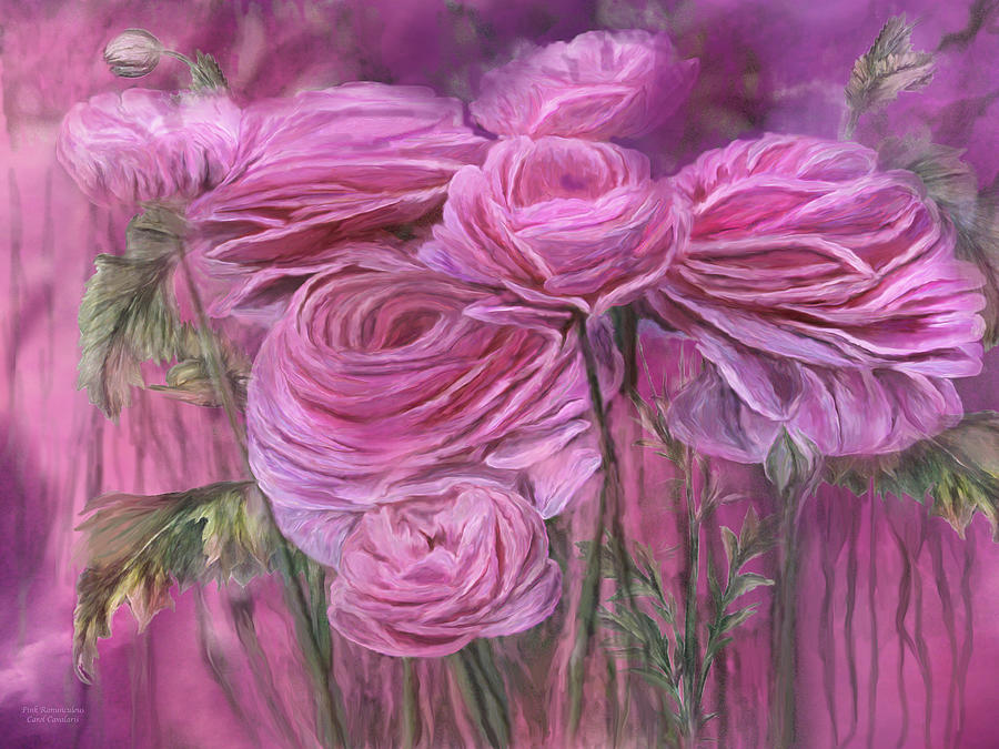 Pink Ranunculus Mixed Media by Carol Cavalaris