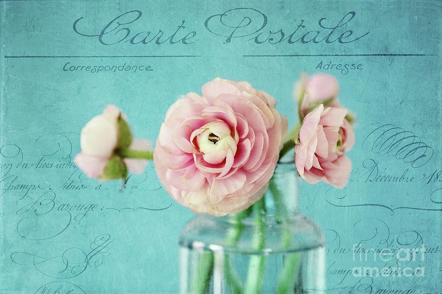 Pink Ranunculus With Text Photograph by Sylvia Cook