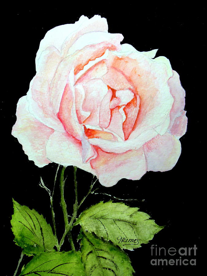 Pink Rose #1  Painting by Carol Grimes