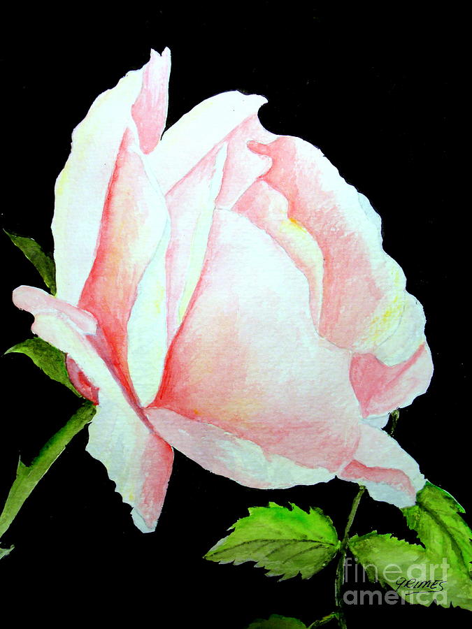 Pink Rose #2 Painting by Carol Grimes