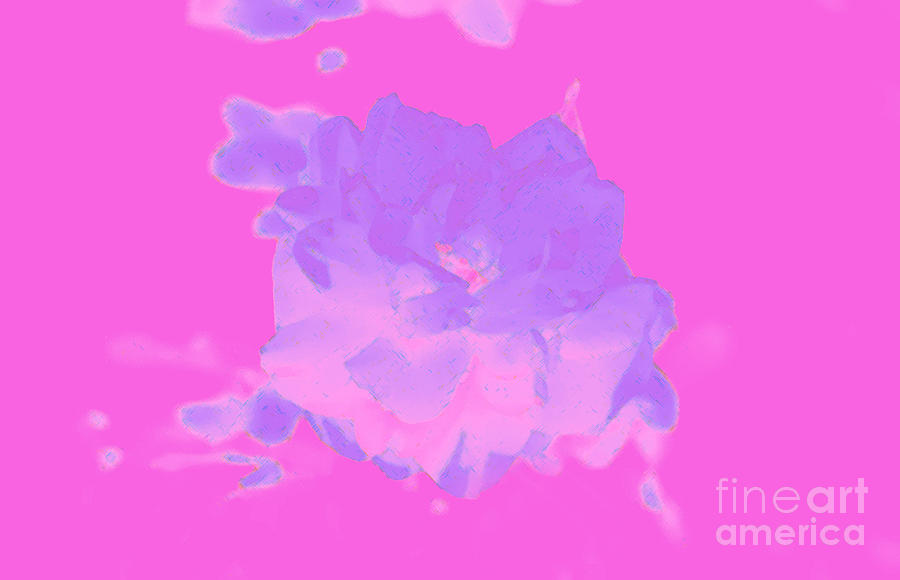 Pink Rose Abstract Digital Art by Susan Stevenson
