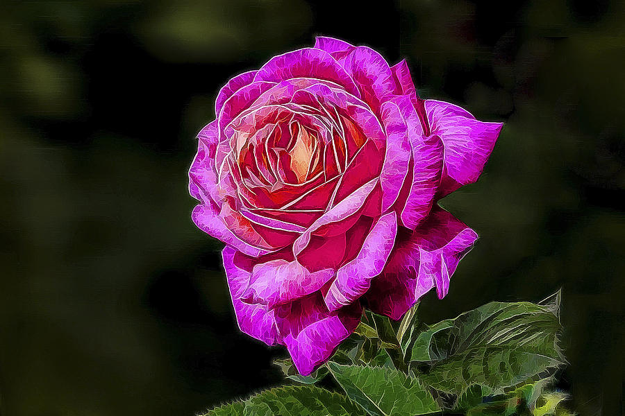 Rose Photograph - Pink Rose by Alexey Bazhan