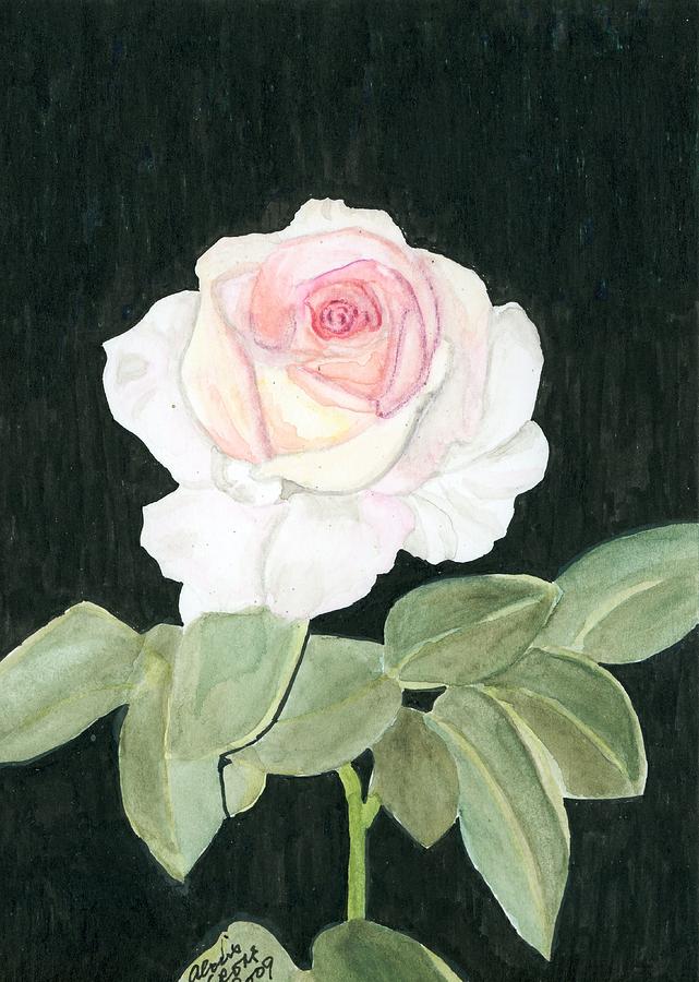 Rose Painting - Pink Rose by Alexis Grone