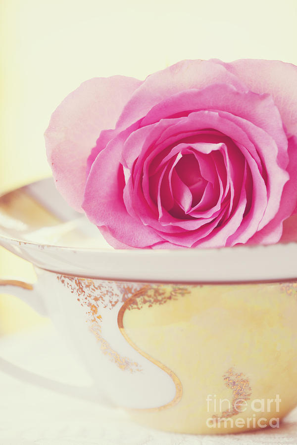 Tea Photograph - Pink Rose and Teacup by Kim Fearheiley