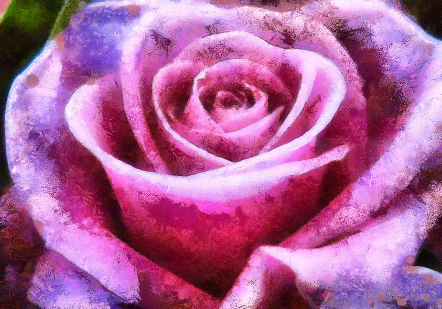 Pink Rose Digital Art by Charmaine Zoe