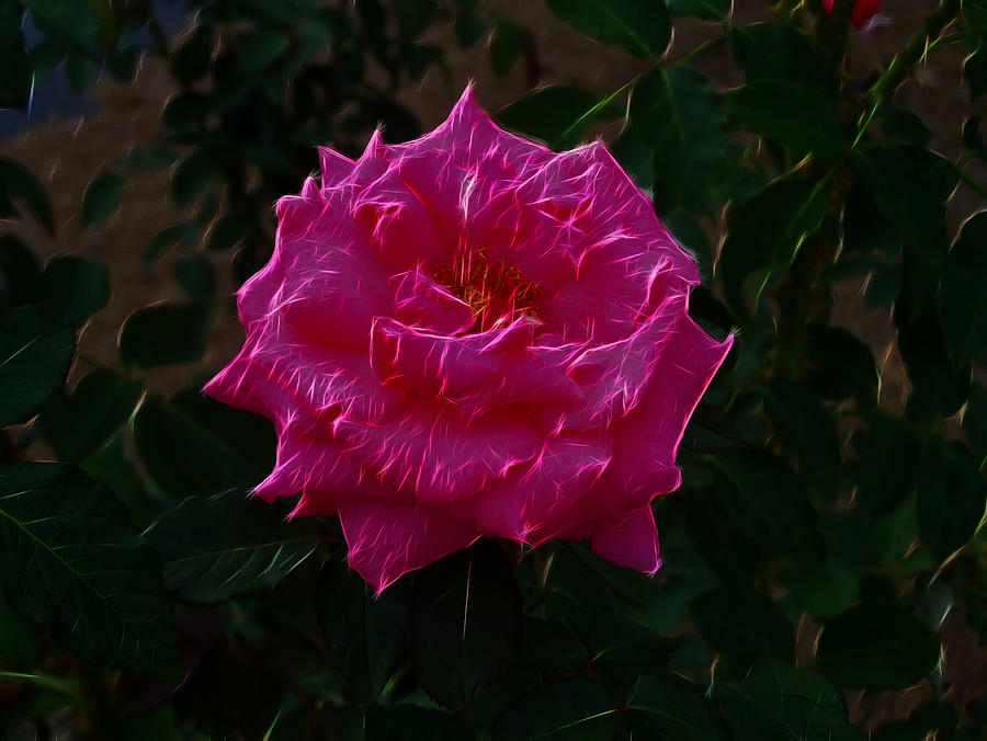 Pink Rose Electric Digital Art by Flees Photos