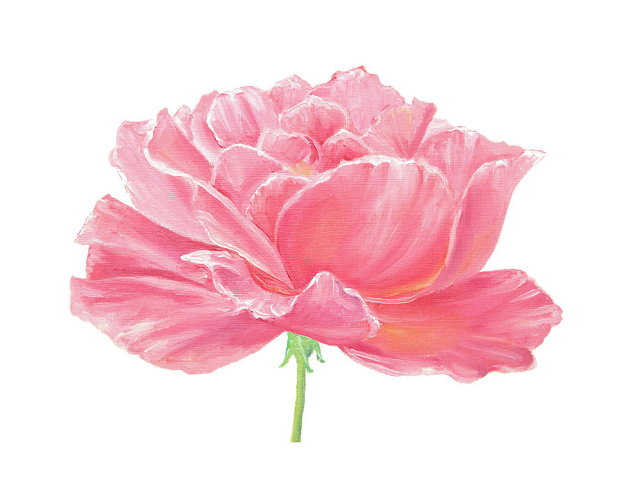 Pink Rose Painting by Elizabeth Lock