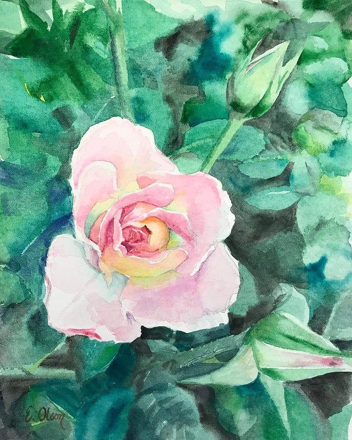 Pink Rose Painting by Emily Olson