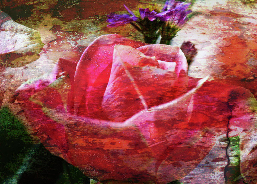 Pink Rose Featured Digital Art by Marie Jamieson
