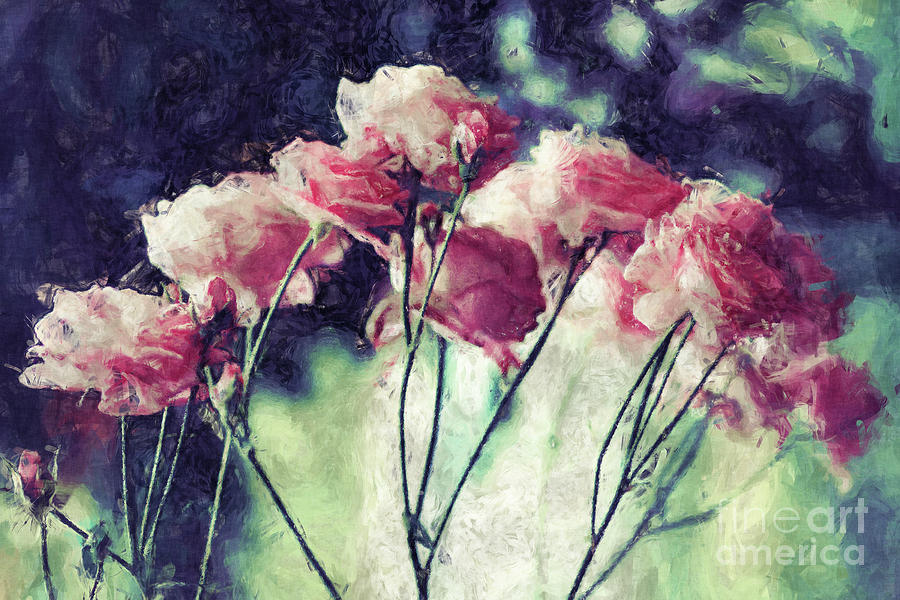 Pink Rose Flowers Digital Art by Phil Perkins