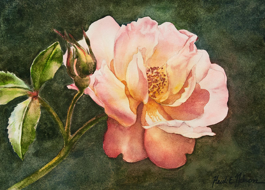 Pink Rose Painting by Heidi E Nelson
