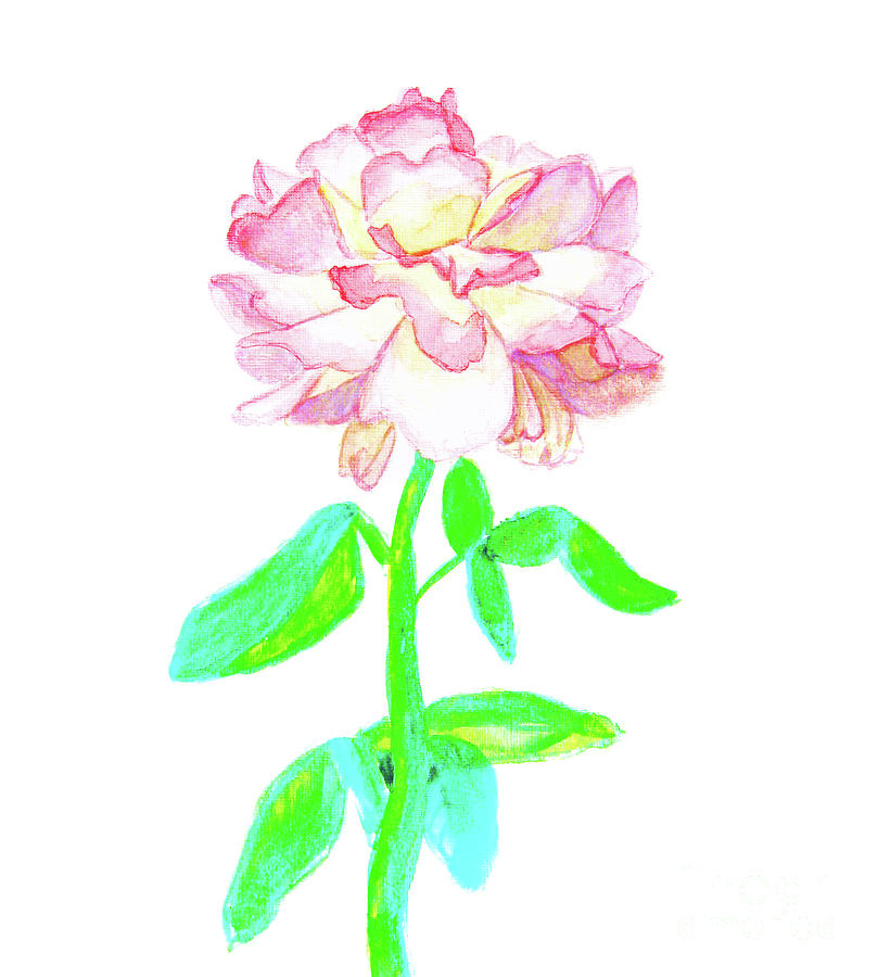 Pink rose Painting by Irina Afonskaya