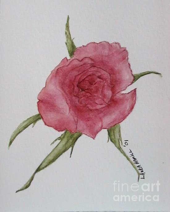 Pink Rose Painting by Laura Hamill