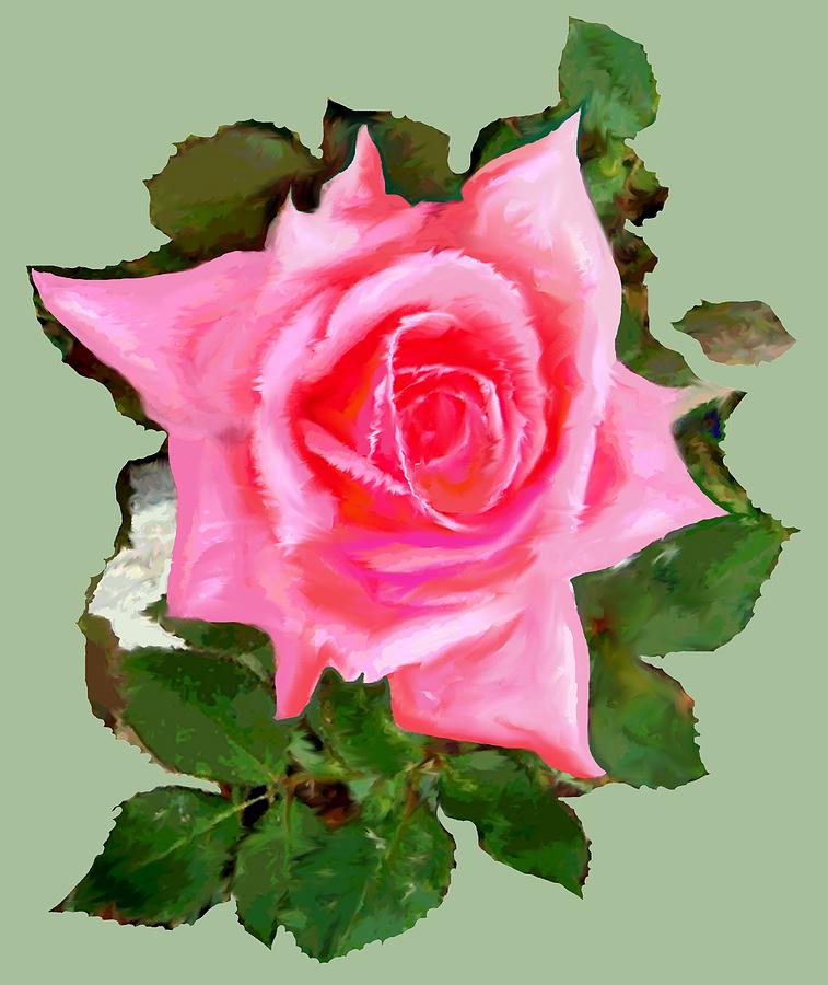Pink Rose Digital Art by Mary Armstrong