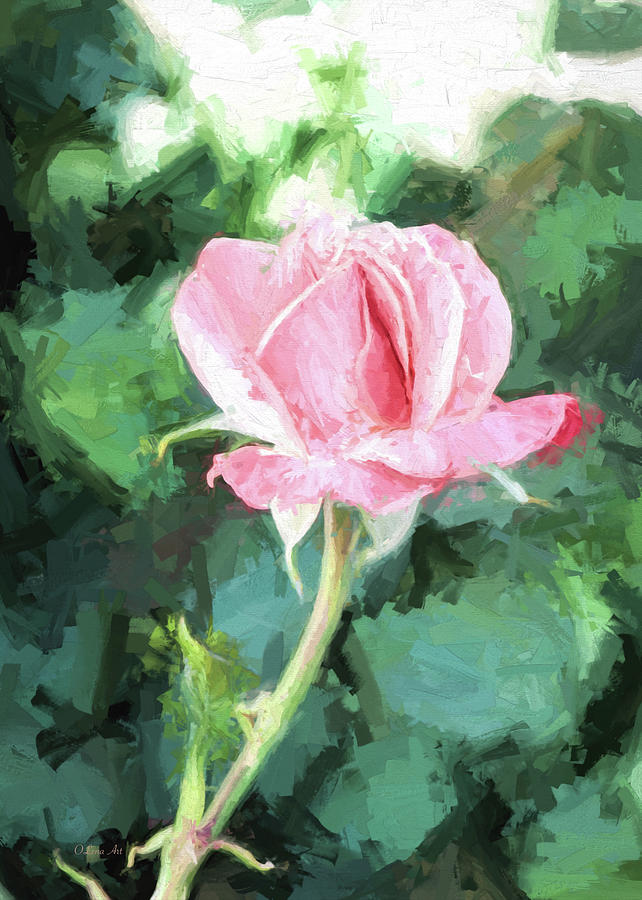 Pink Rose Photograph by Lena Owens - OLena Art Vibrant Palette Knife and Graphic Design