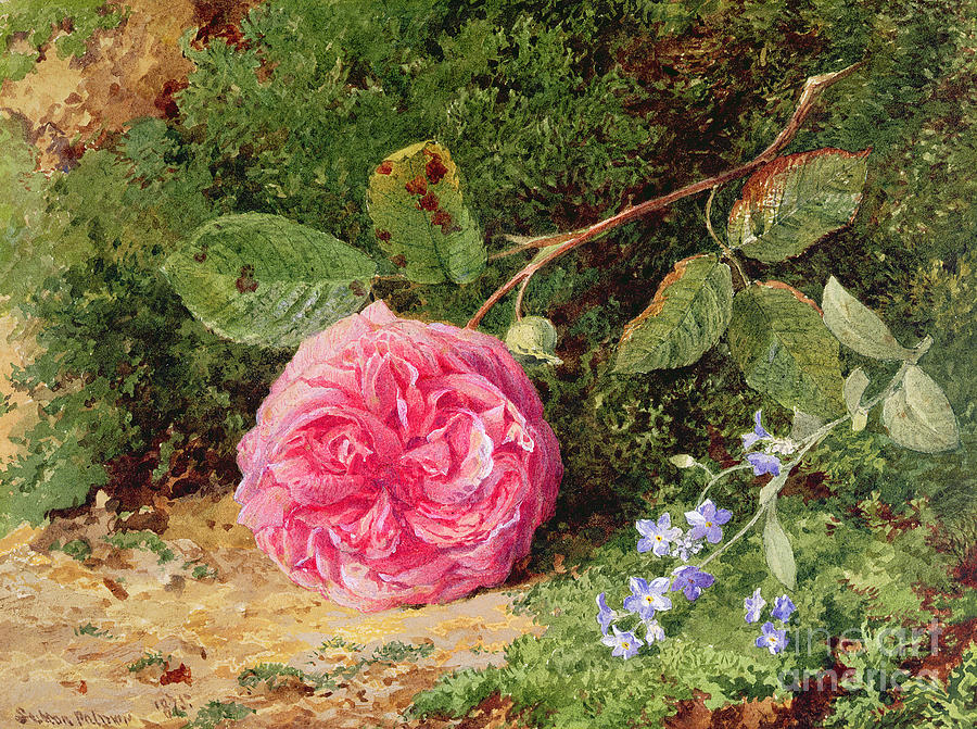 Still Life Painting - Pink Rose on a Mossy Bank by Henry Sutton Palmer