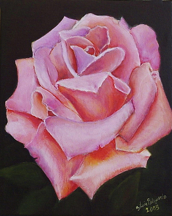 Pink Rose Painting by Silvia Philippsohn