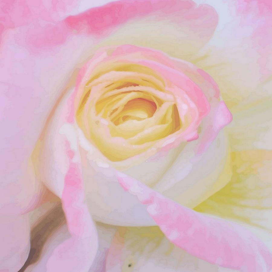Pink Rose Vector Digital Art by Taiche Acrylic Art