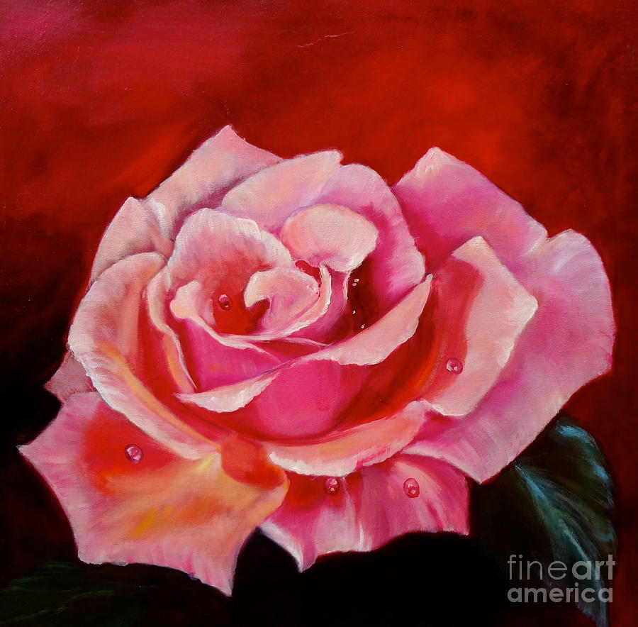 Pink Rose  Painting by Jenny Lee