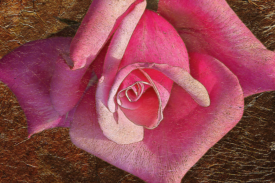 Pink Rose With Gold Leaf Look Photograph by Phyllis Denton