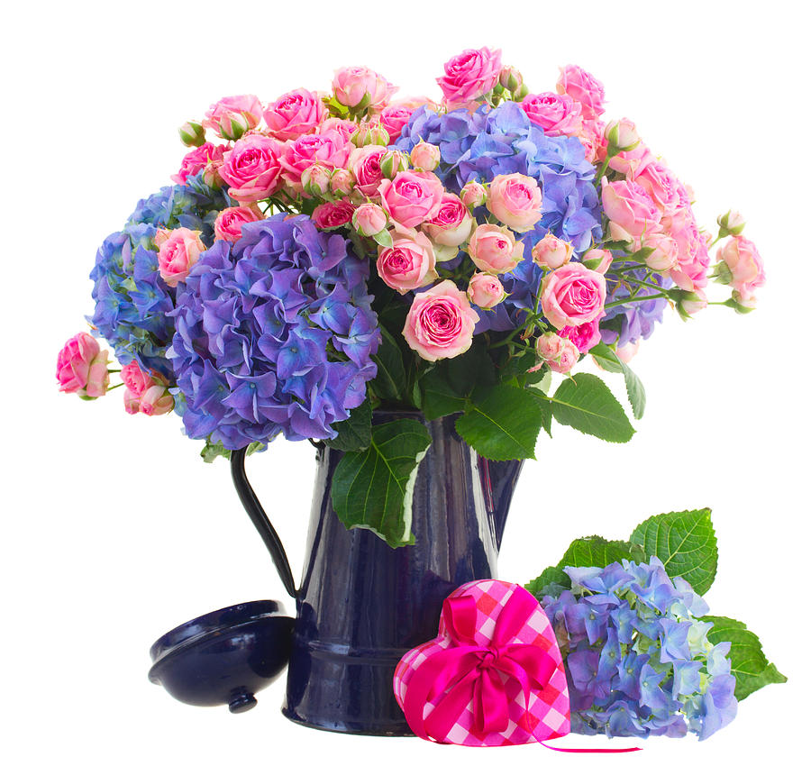 Pink Roses and Blue Hortensia flowers Photograph by Anastasy Yarmolovich