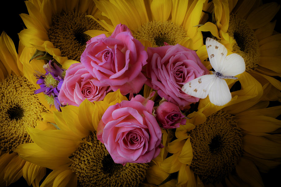 Sunflower Photograph - Pink Roses And Sunflowers by Garry Gay