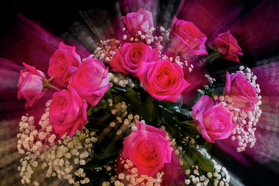 Pink Roses Bouquet Explosion Photograph by James BO Insogna
