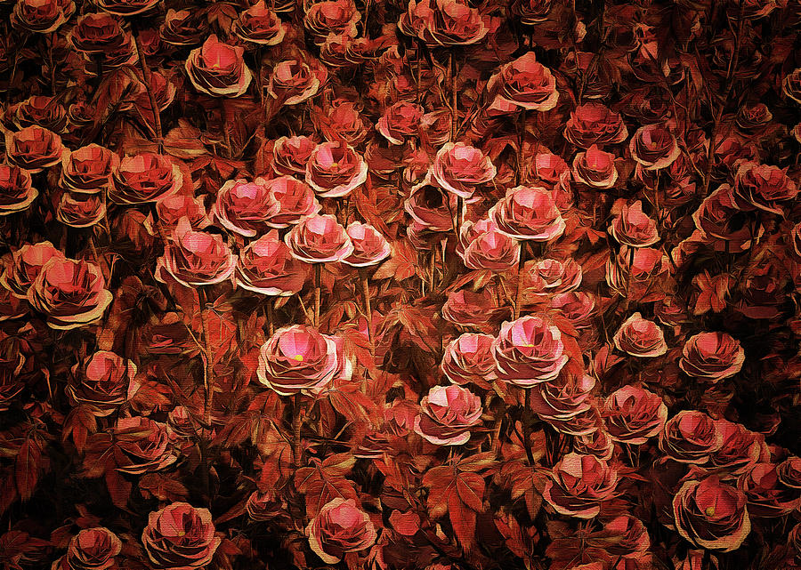 Pink roses Painting by Jan Keteleer