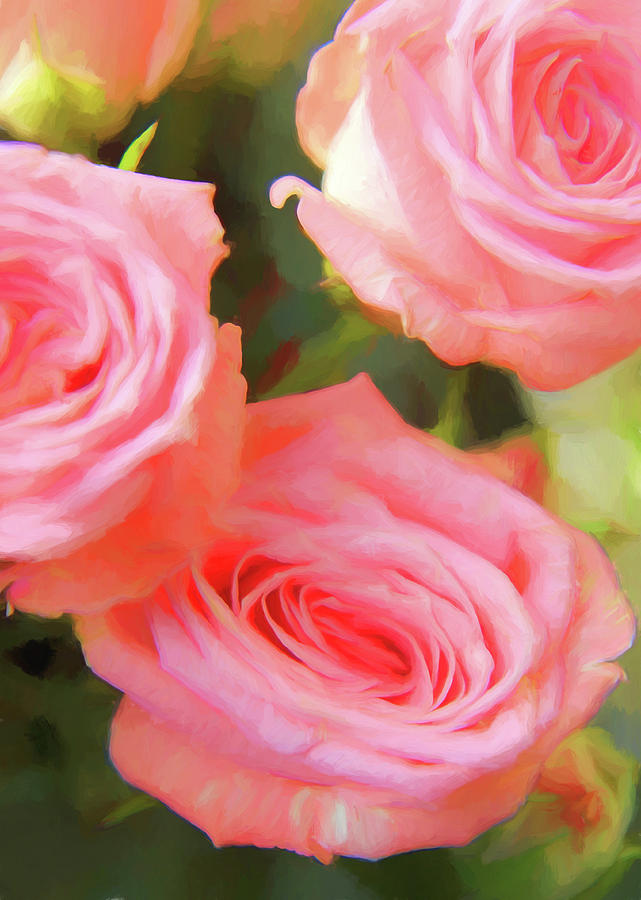 Pink Roses Painterly Photograph by Mary Bedy