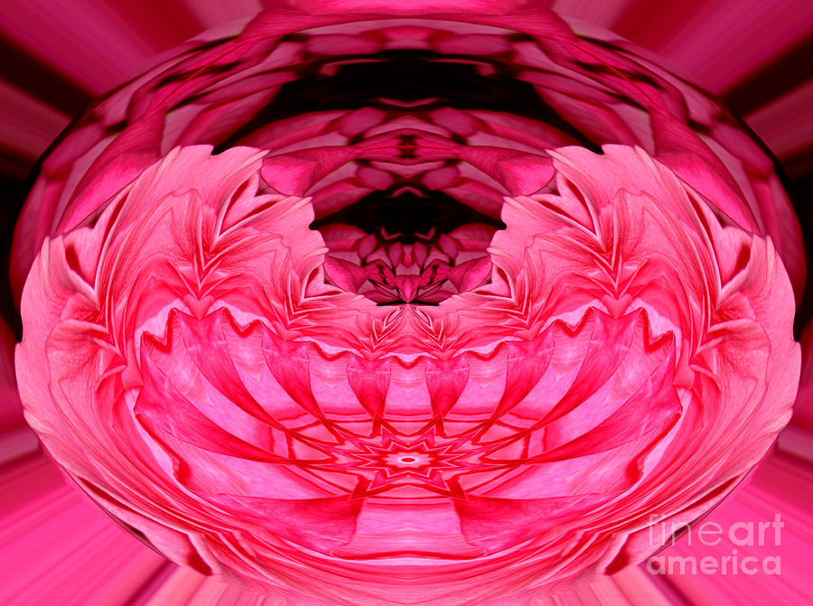 Pink Roses Polar Coordinates Effect 2 Mixed Media by Rose Santuci-Sofranko