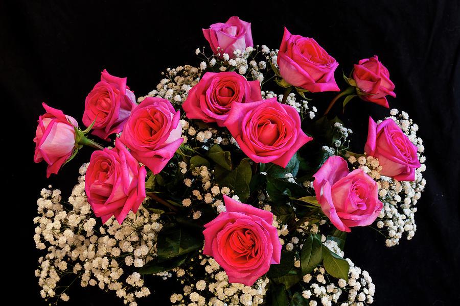 Pink Roses With All My Love Photograph by James BO Insogna
