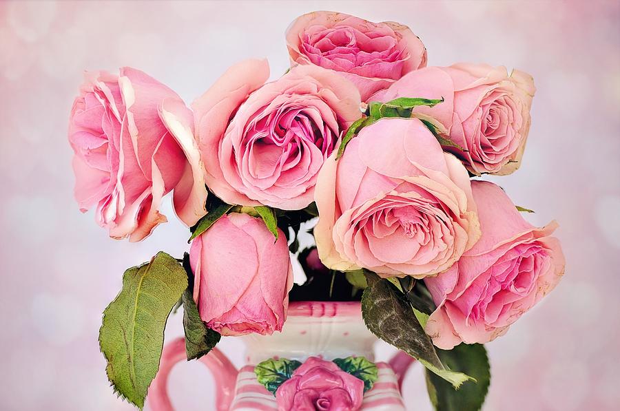 Pink Roses Photograph by Yoko Suzuki - Fine Art America
