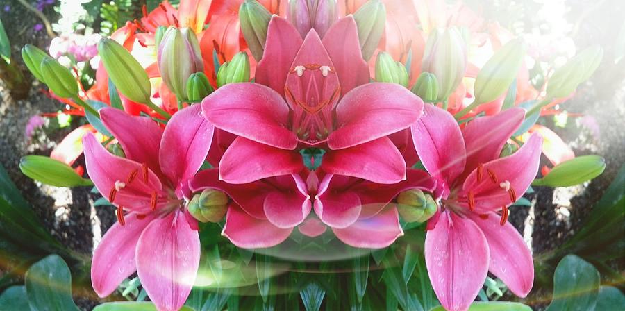 Flowers Still Life Photograph - Pink Royal Crown by Jessica  Venzor 