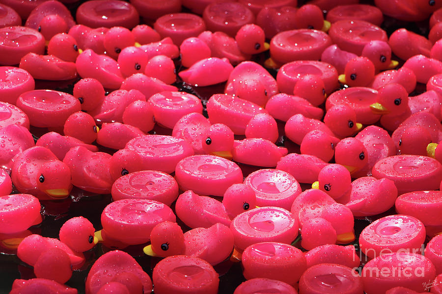 small pink rubber ducks