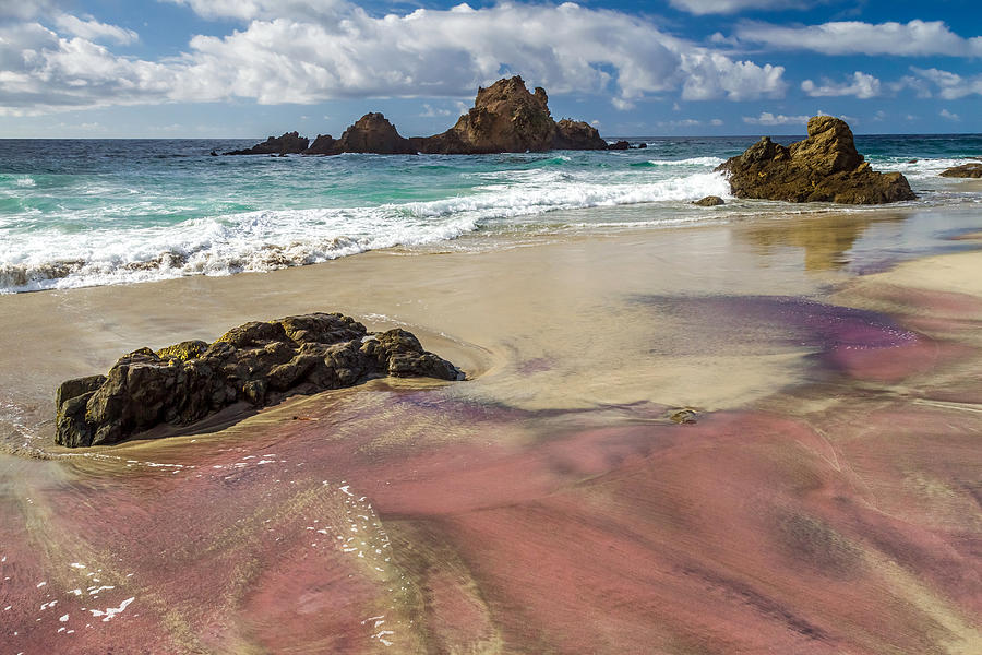 Pink sand beach in Big Sur Photograph by Pierre Leclerc Photography