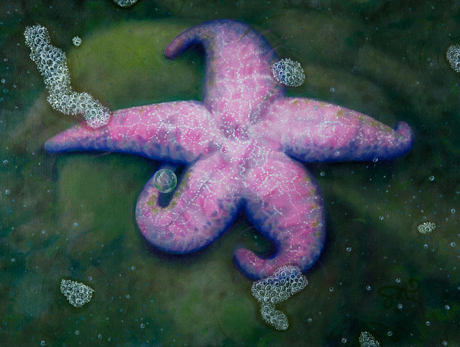 Beach Painting - Pink Sea Star and Her Bubble by Shelley Irish