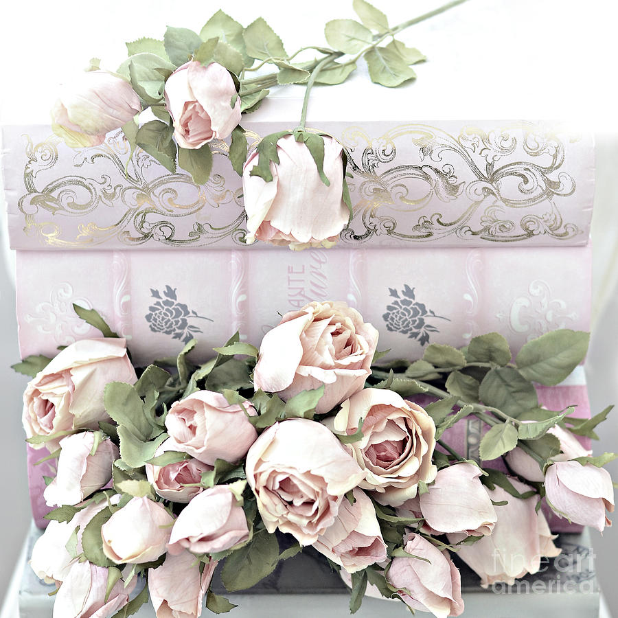 Pink Shabby Chic Roses On Pink Cottage Books - Shabby Cottage Pink Roses Home Decor Photograph by Kathy Fornal