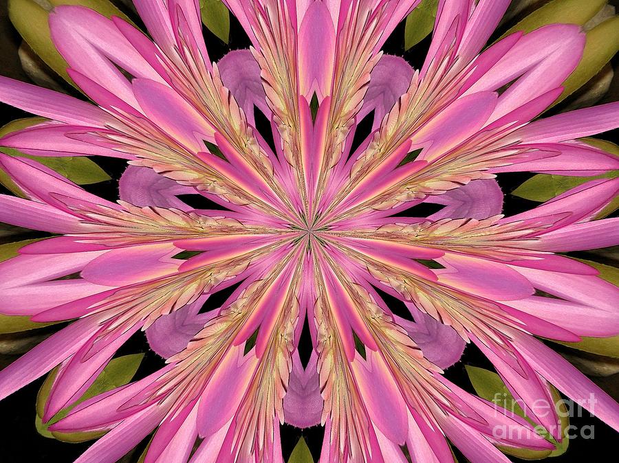 Pink Silk Waterlily Mandala Kaleidoscope Abstract 4 Photograph by Rose Santuci-Sofranko