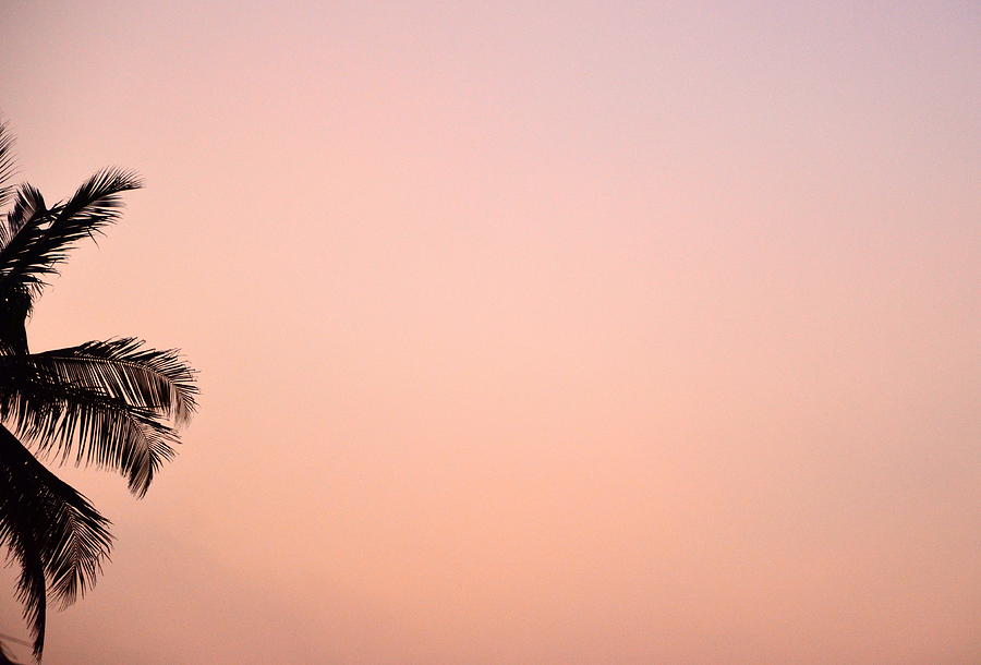 Pink Skies Photograph by Corinne Rhode