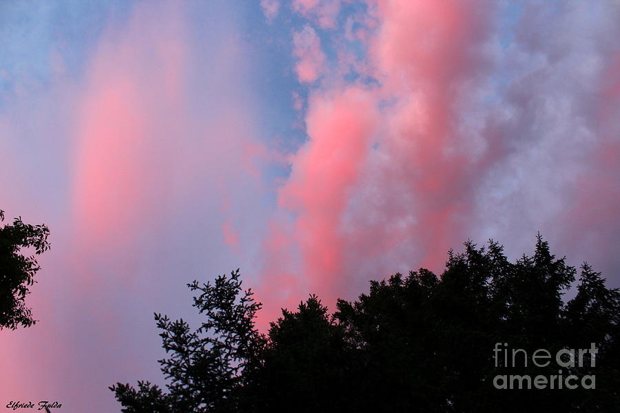 Pink Skies Photograph by Elfriede Fulda