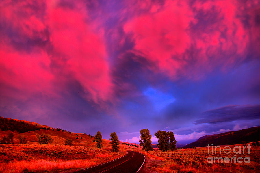 Pink Skies Over Lamar Valley Road Photograph by Adam Jewell